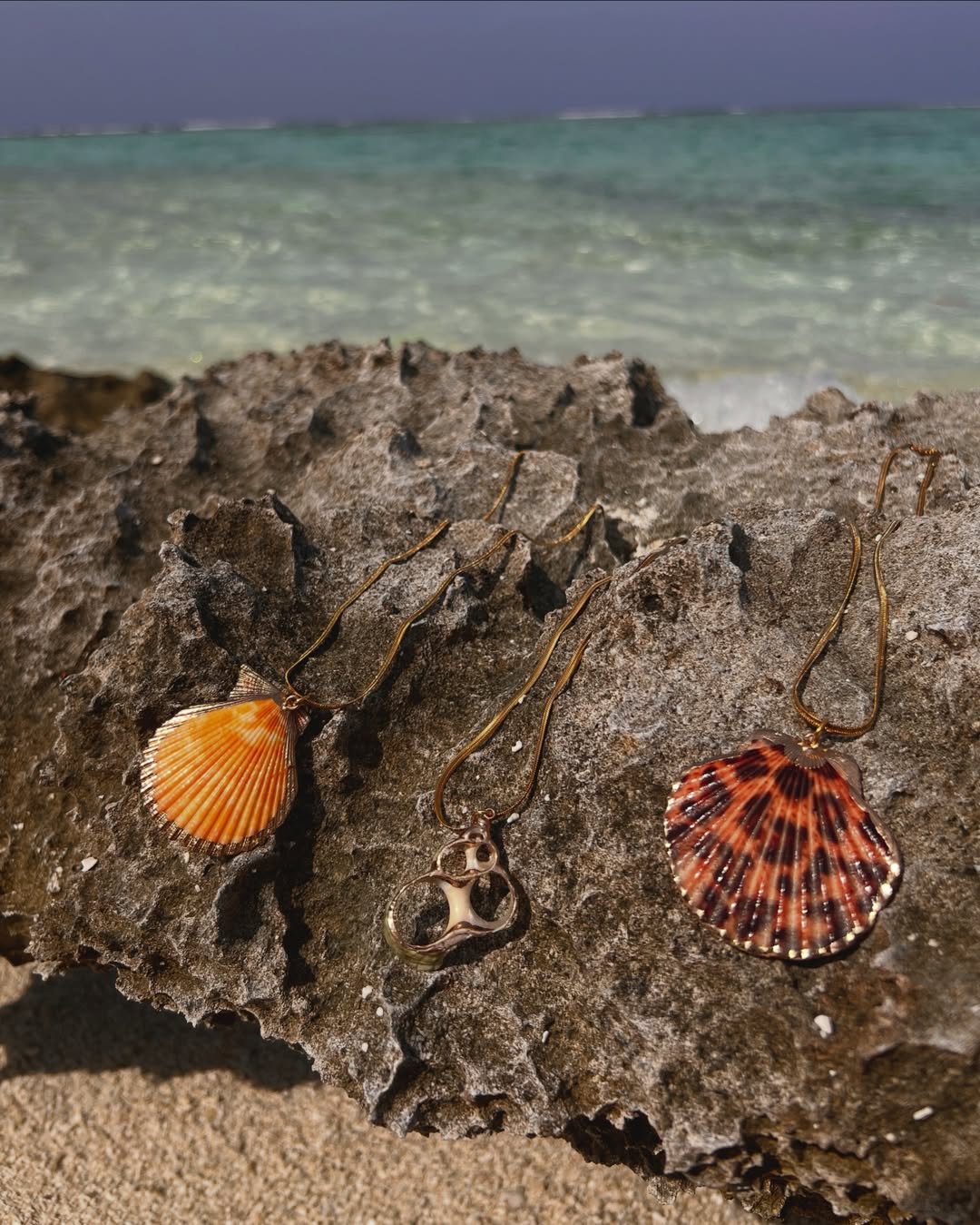 The Aureate Clam