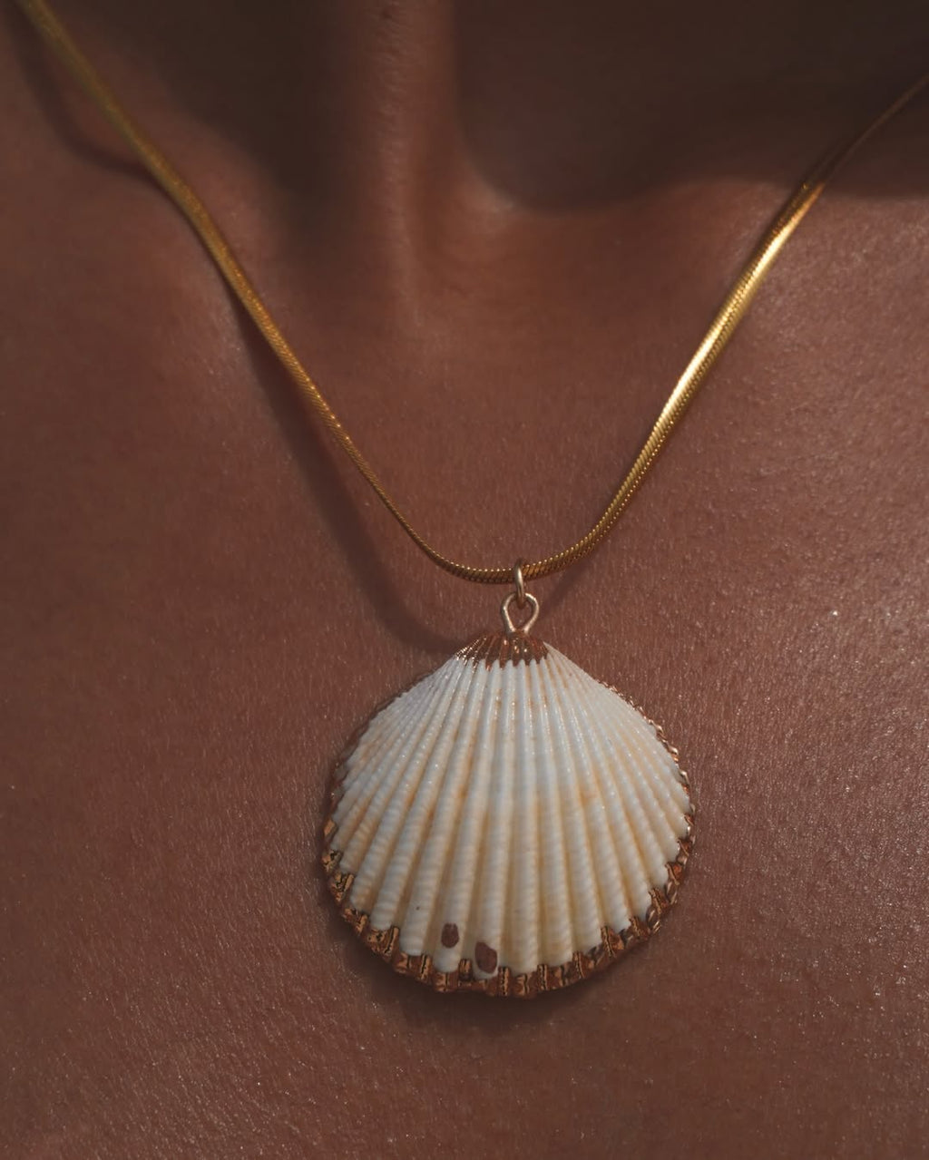 The Radiant Clam