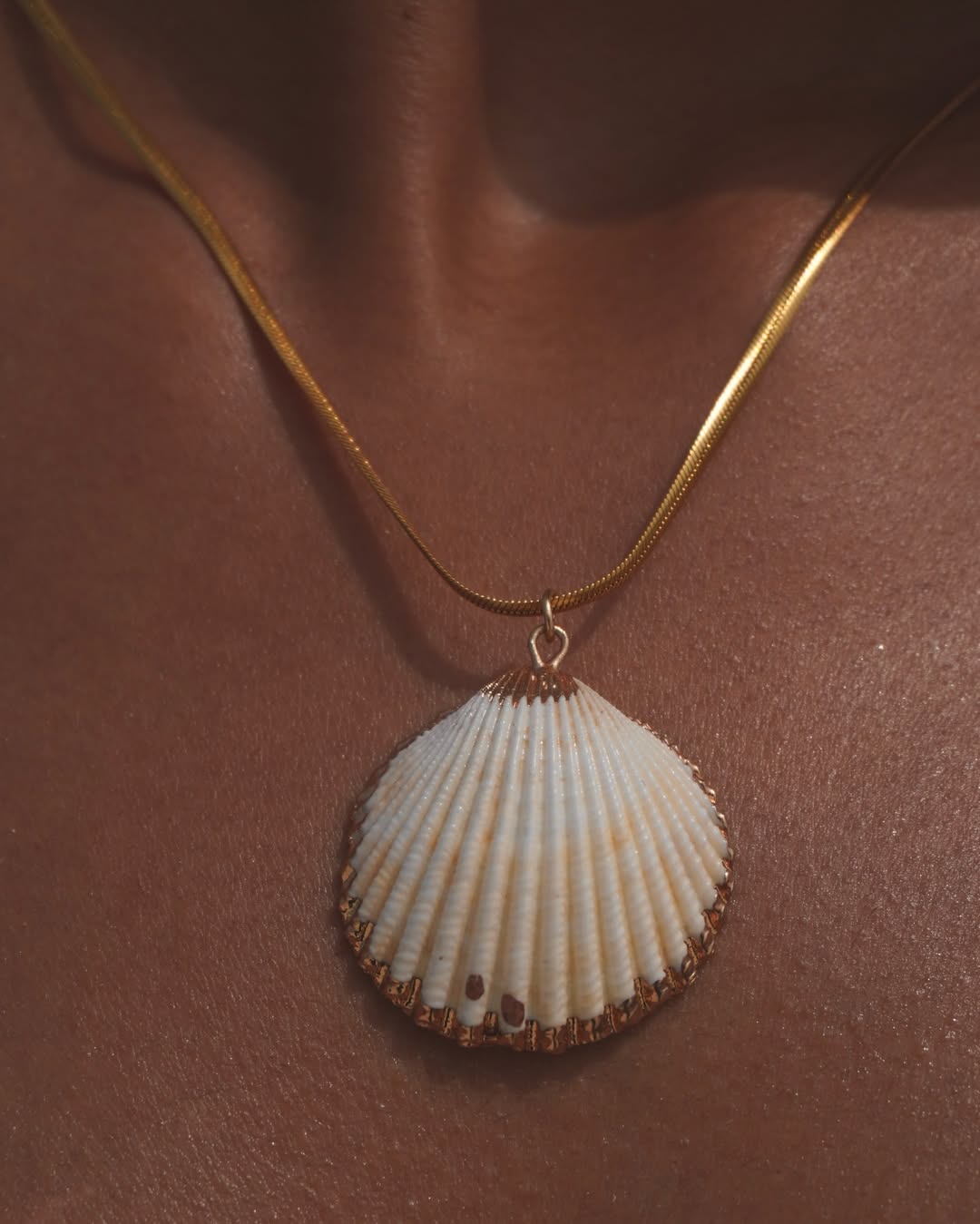The Radiant Clam