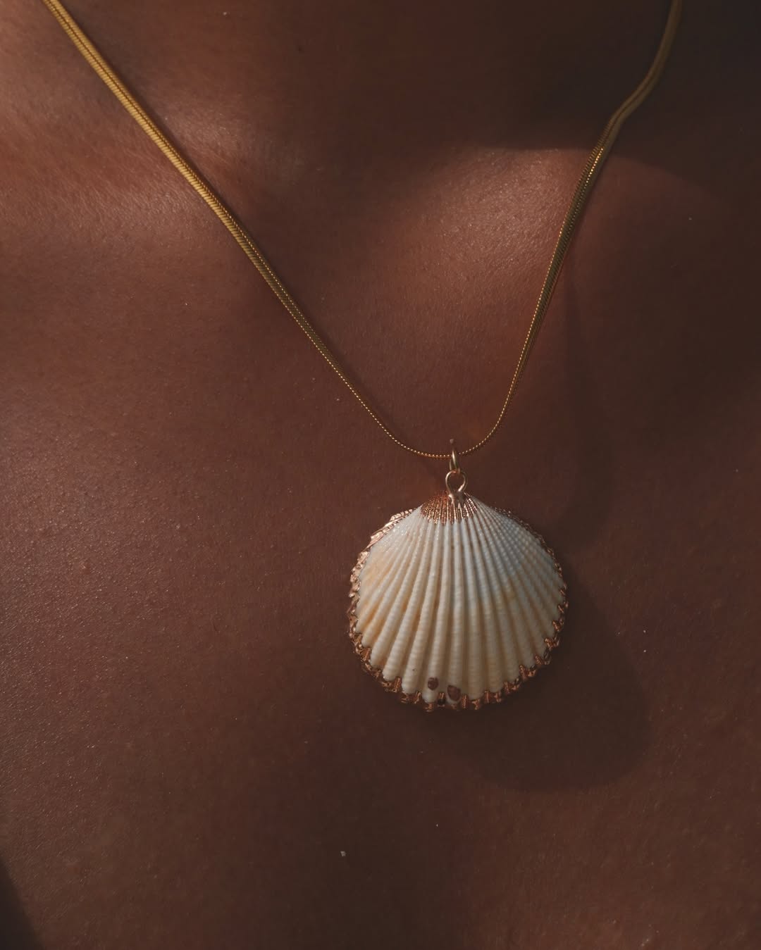 The Radiant Clam