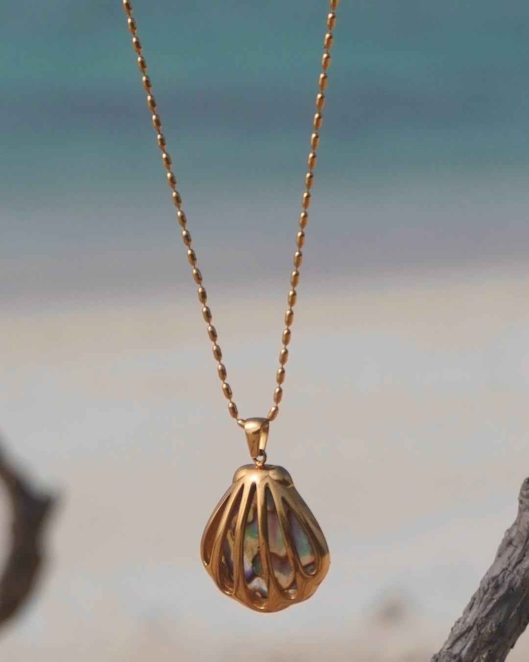 The Gilded Abalone-Chain