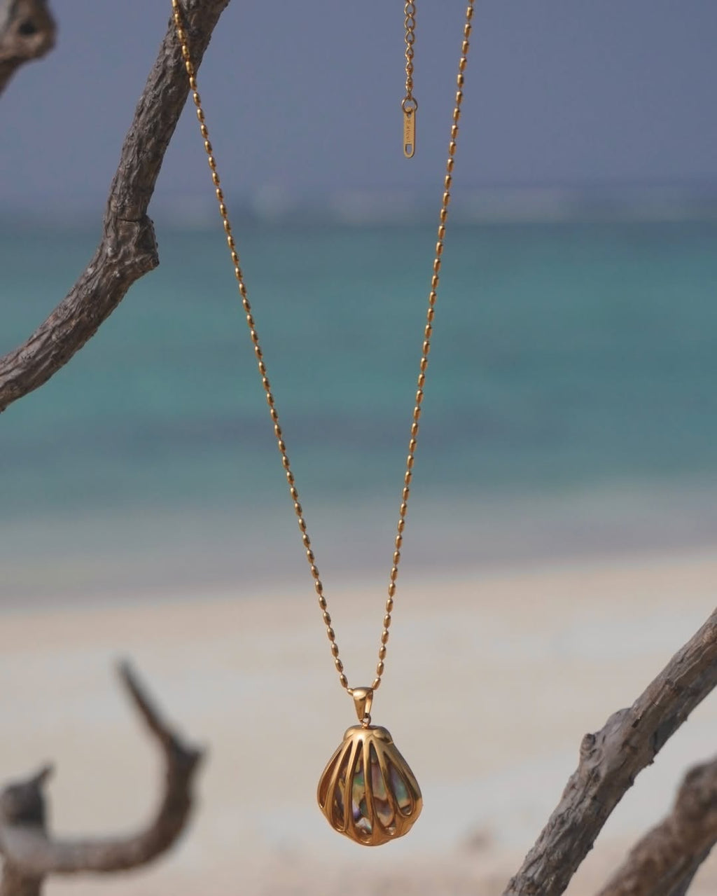 The Gilded Abalone-Chain