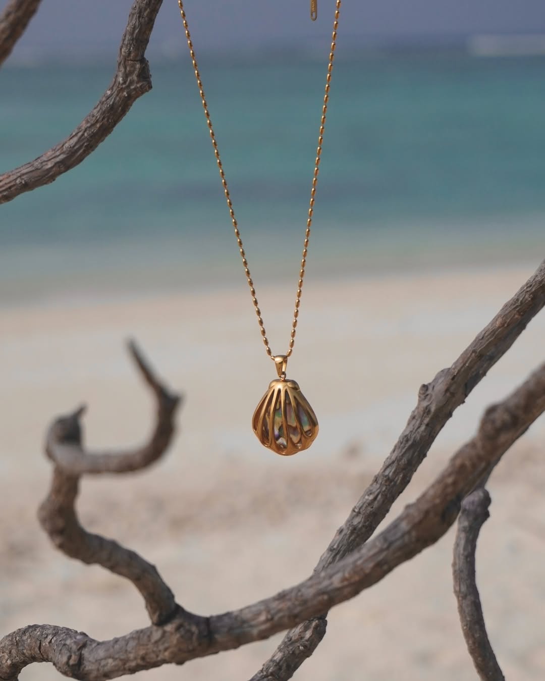 The Gilded Abalone-Chain