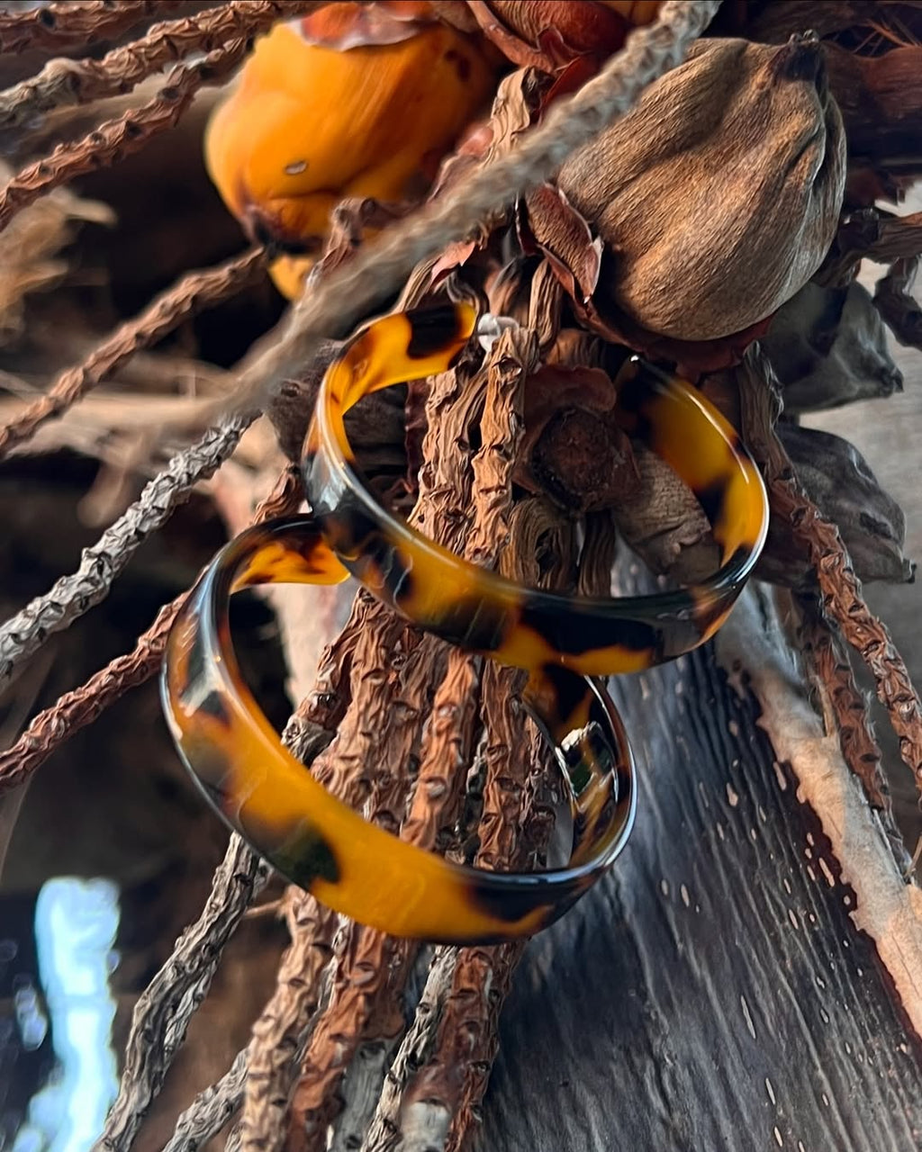 The Turtle Hoop