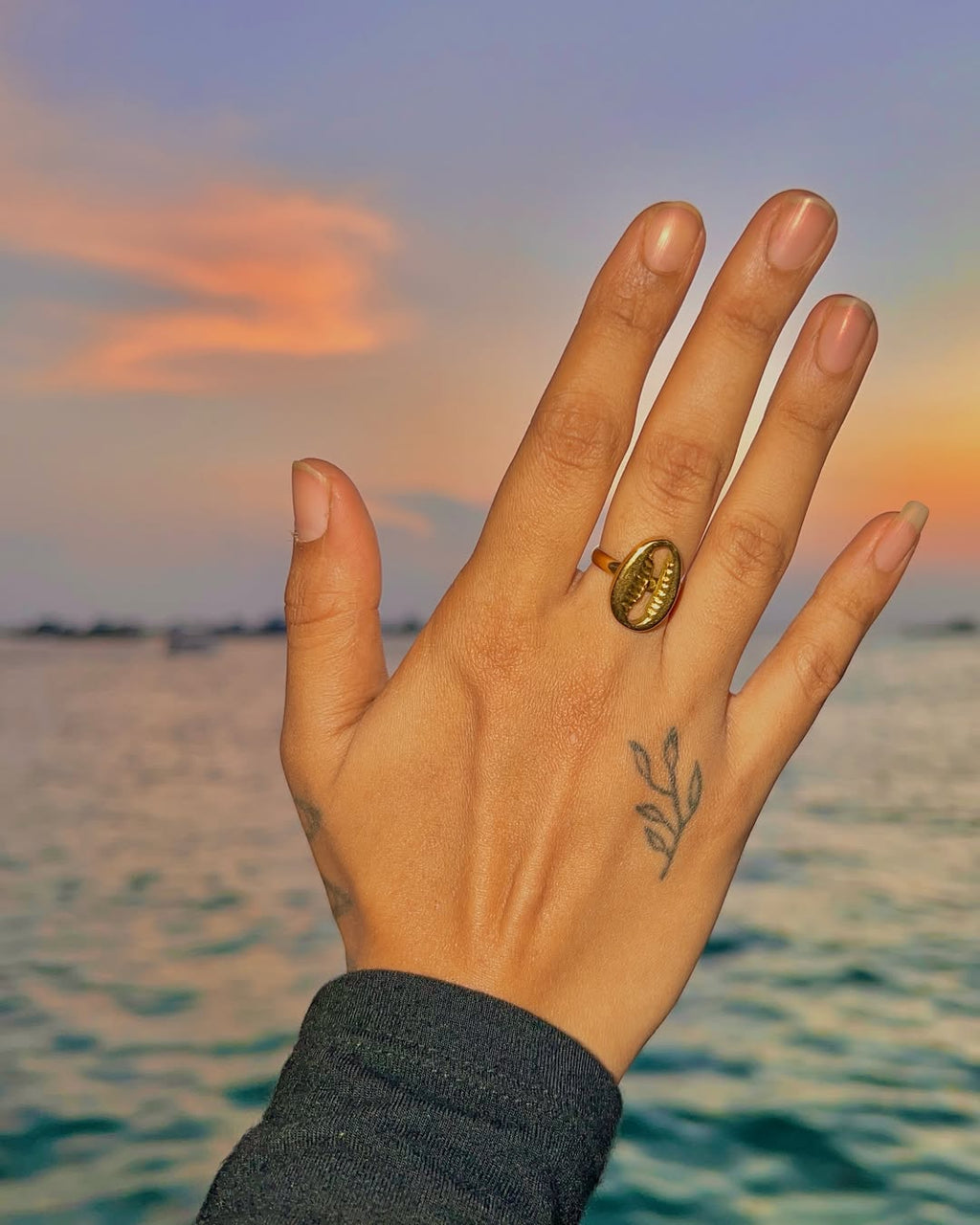 The Cowrie Seal