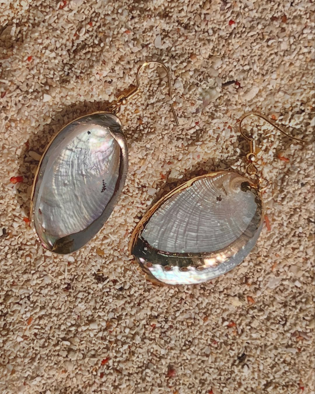 The Dipped Abalone