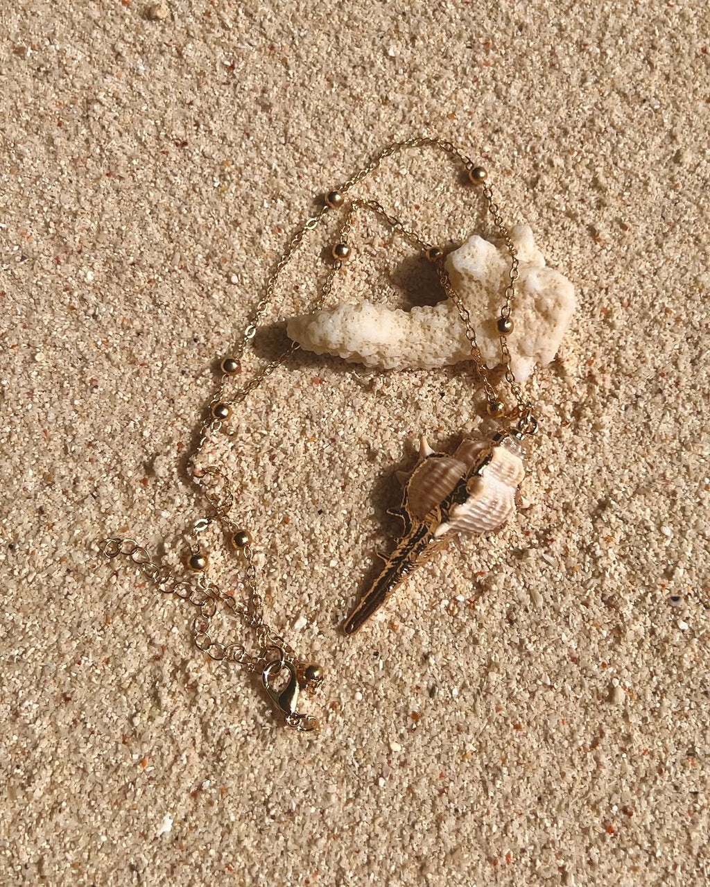 The Striking Conch