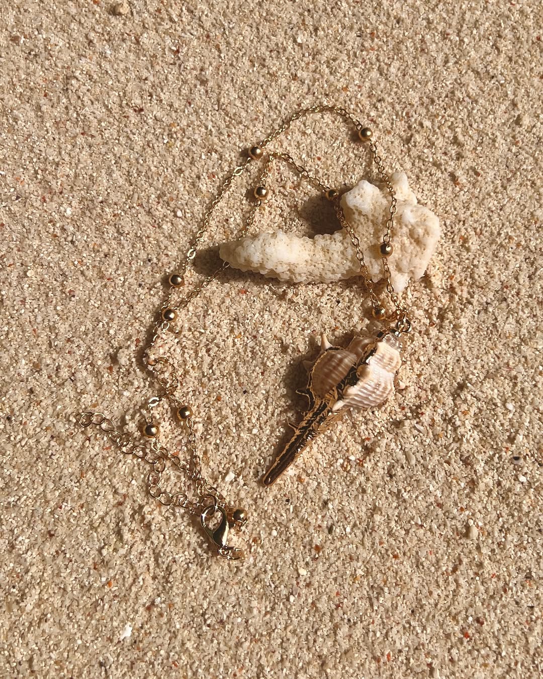 The Striking Conch