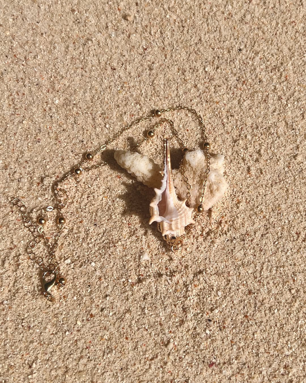 The Striking Conch