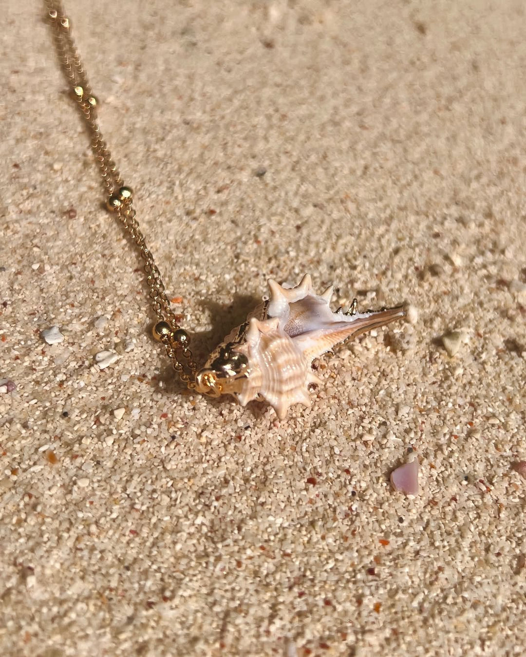 The Striking Conch