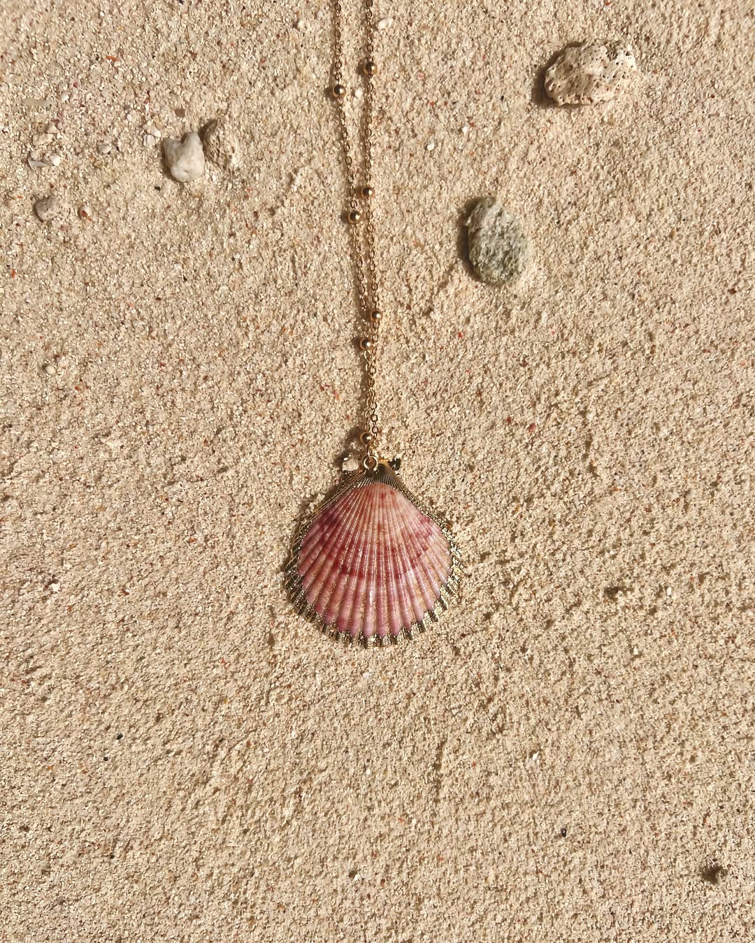 The Aureate Clam