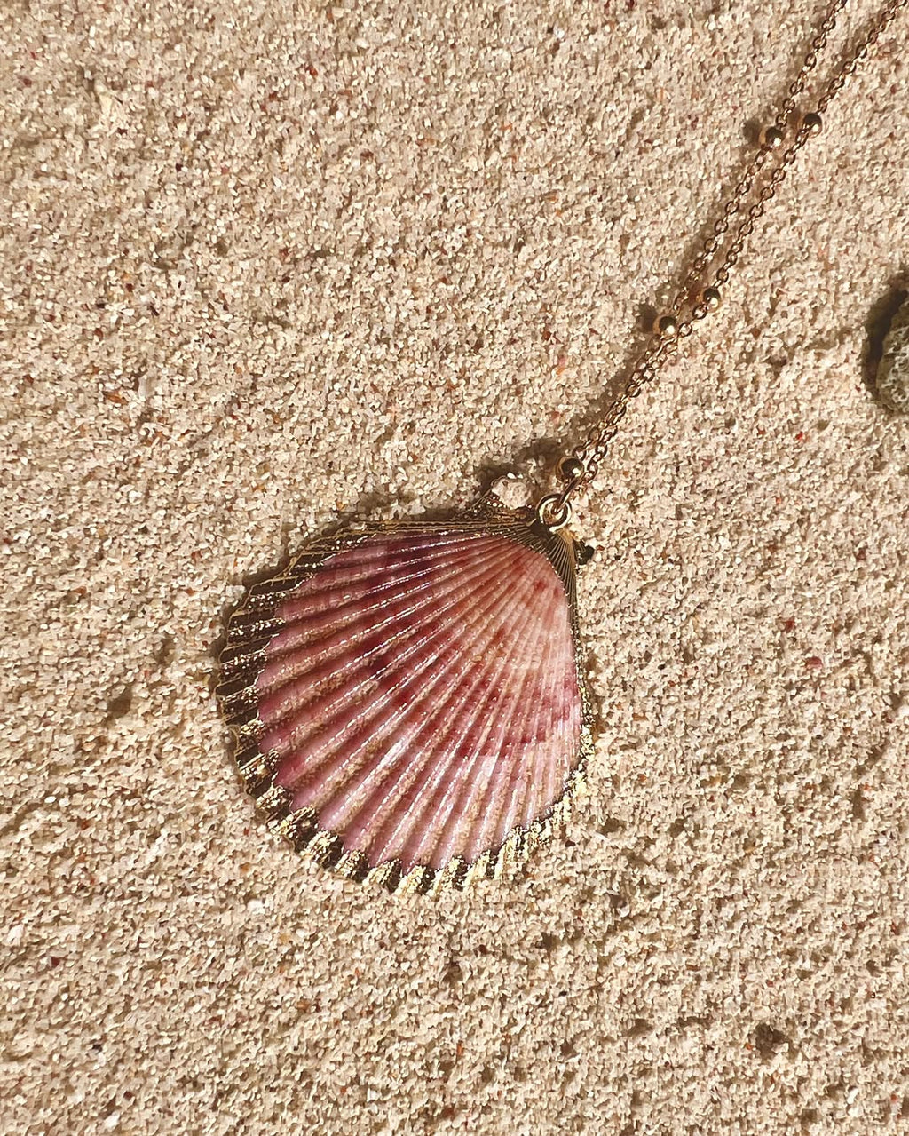 The Aureate Clam