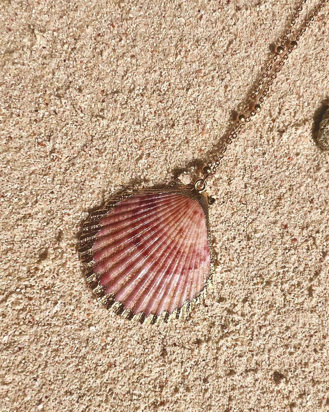 The Aureate Clam