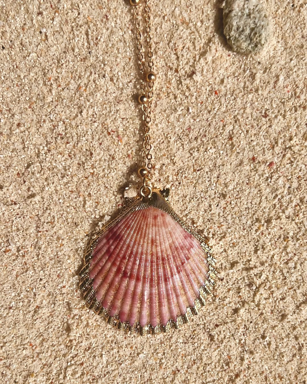 The Aureate Clam