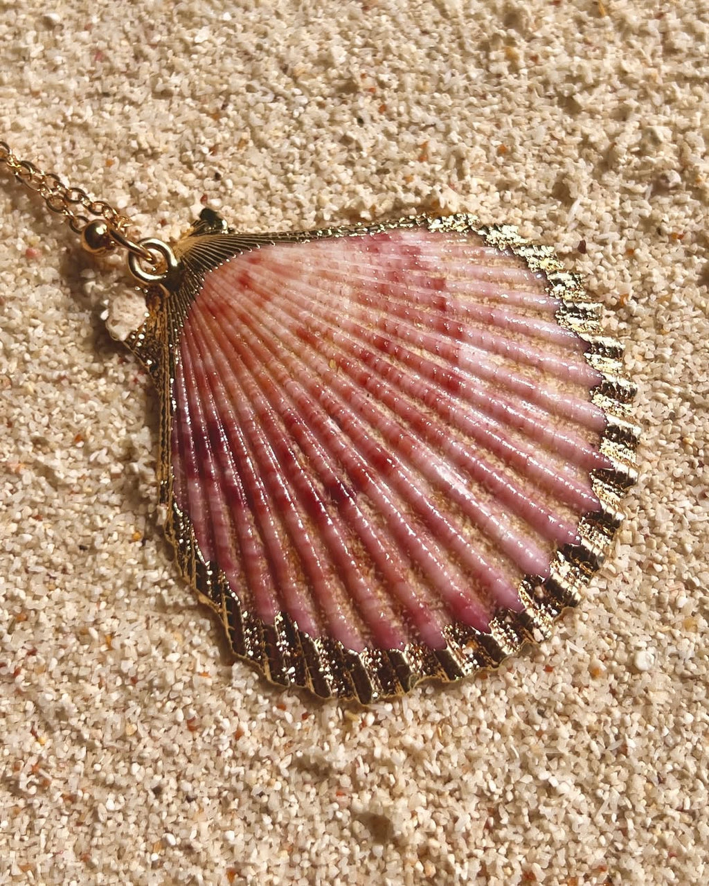The Aureate Clam