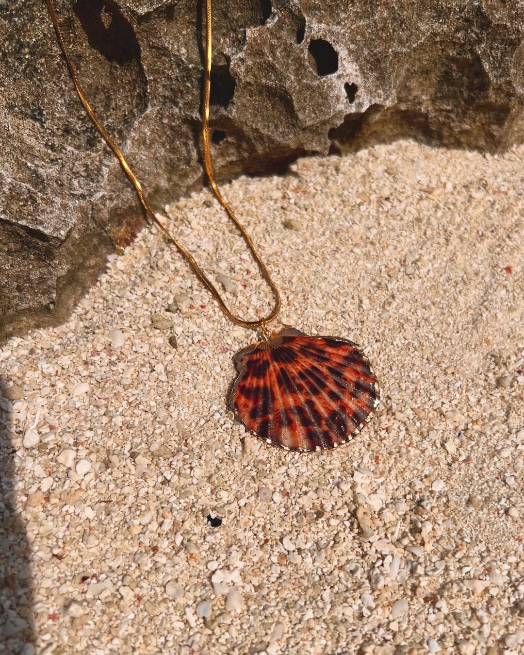 The Leopard Clam