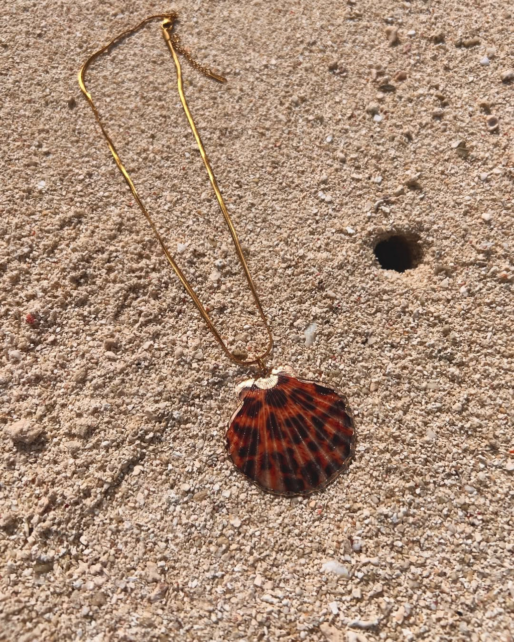 The Leopard Clam