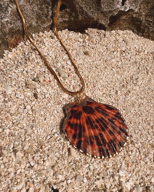 The Leopard Clam