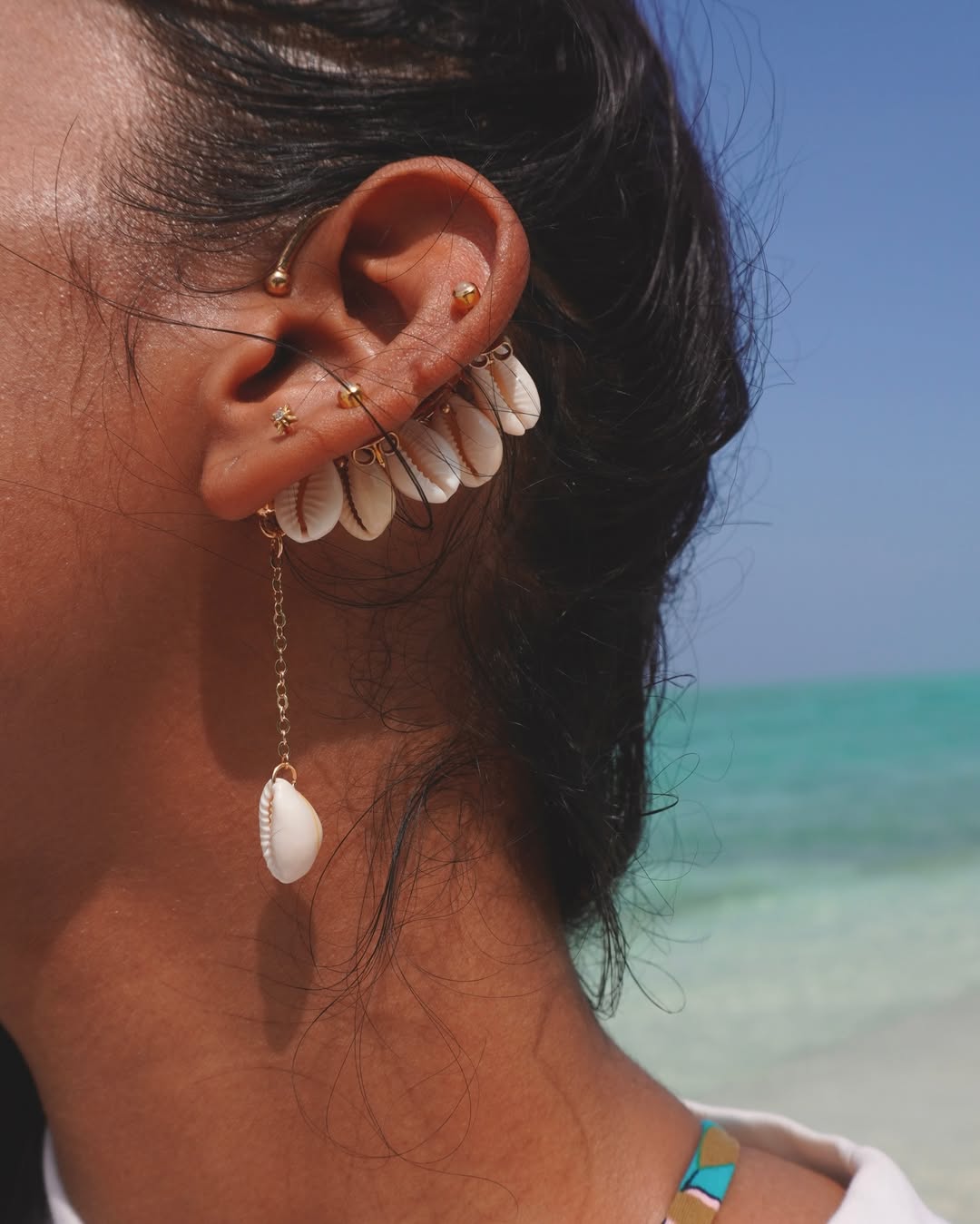 The Swinging Cowrie