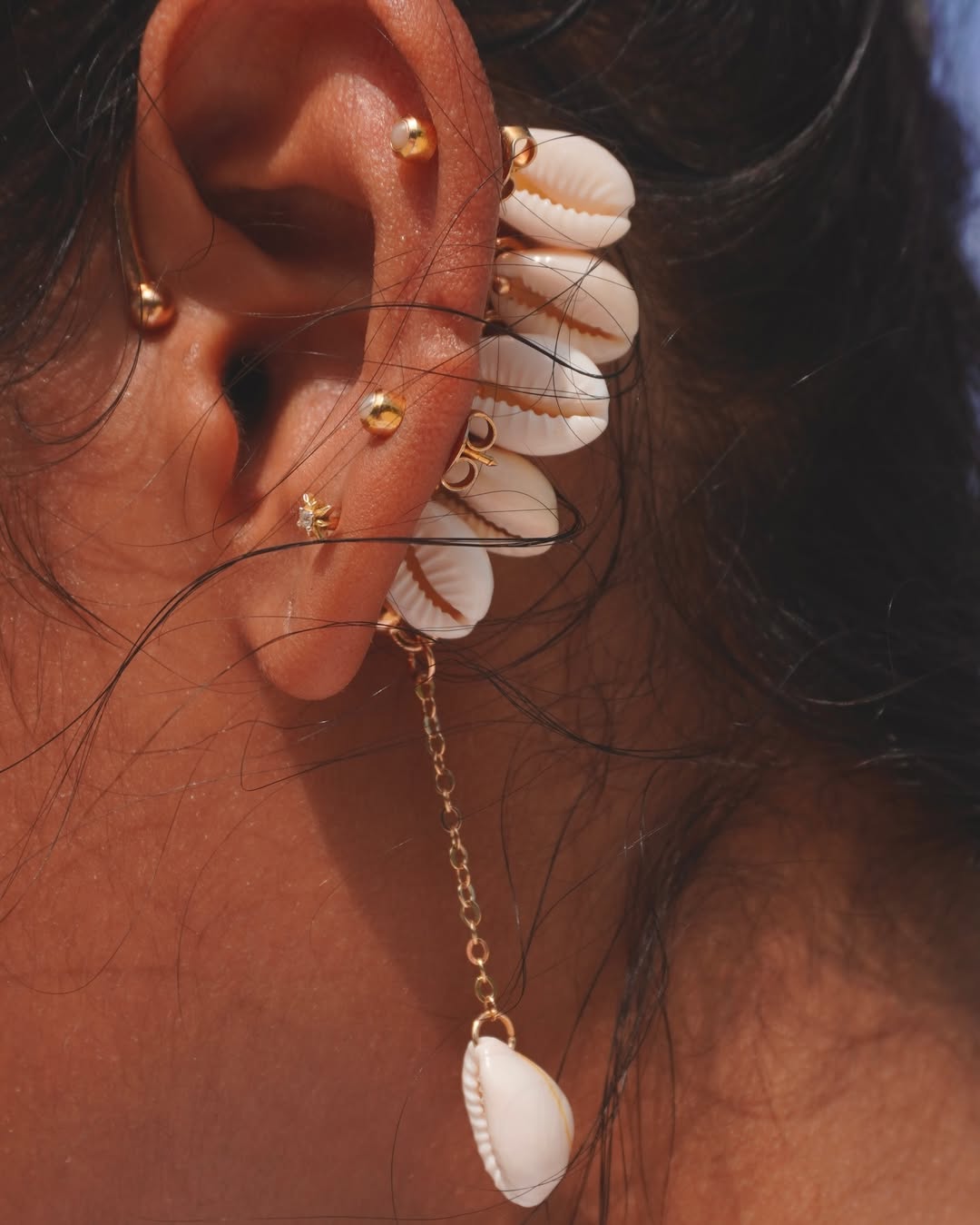 The Swinging Cowrie
