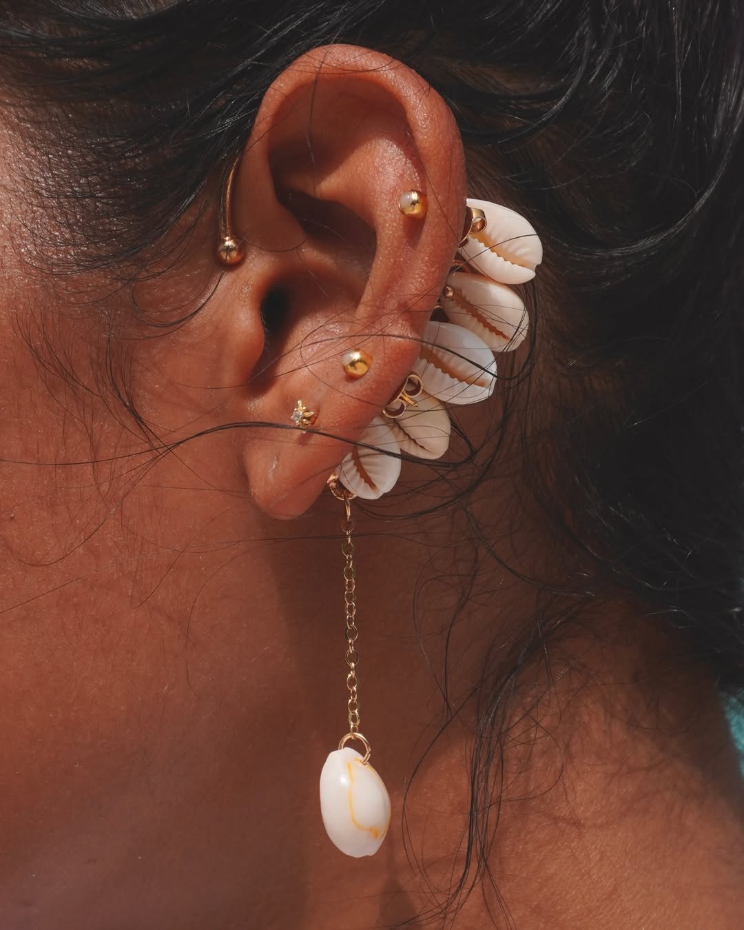 The Swinging Cowrie