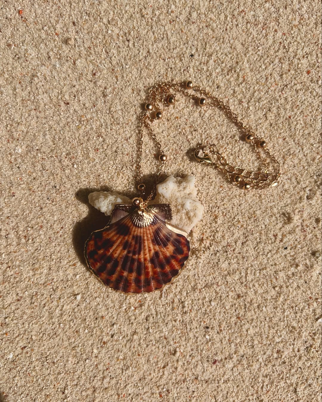 The Leopard Clam