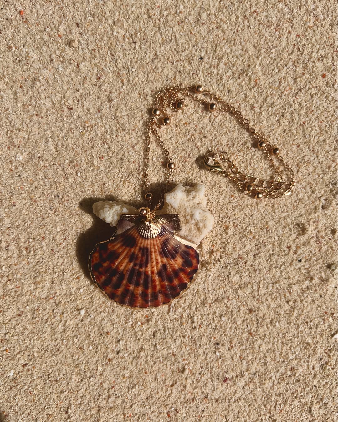 The Leopard Clam