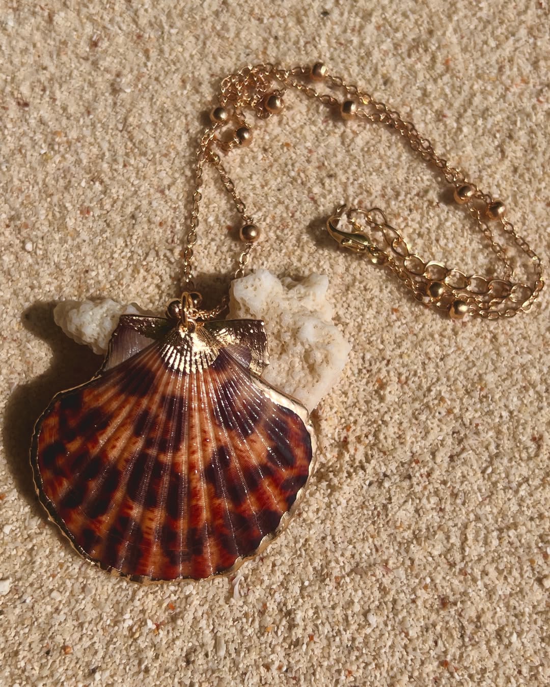 The Leopard Clam