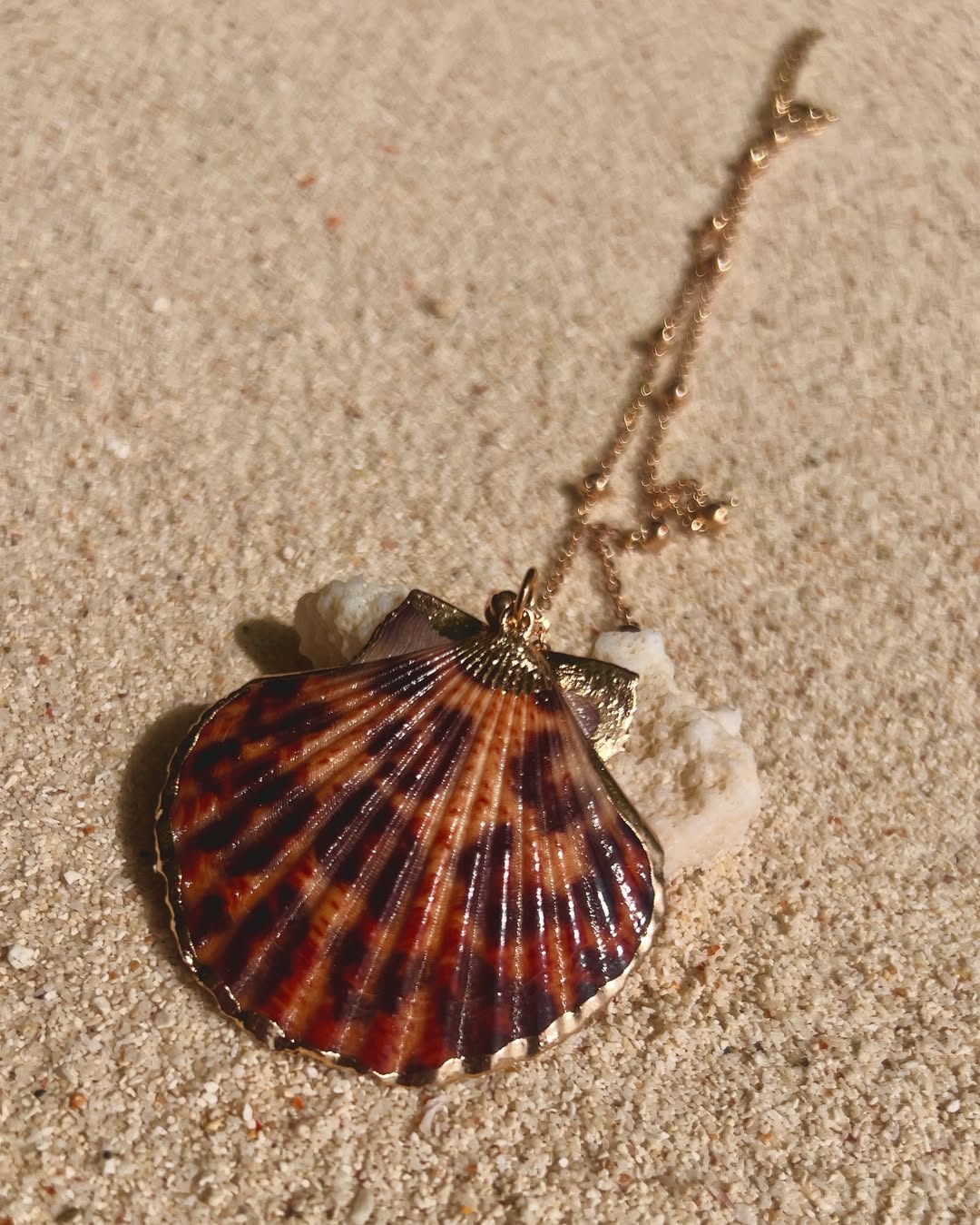 The Leopard Clam
