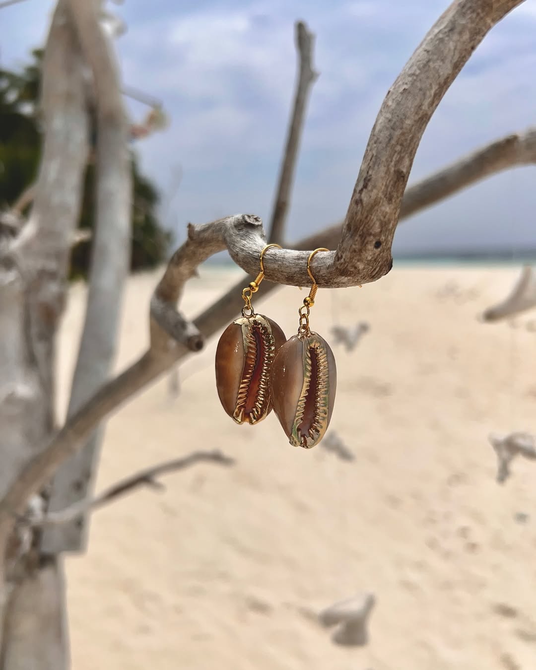 The Cowrie Eclipse