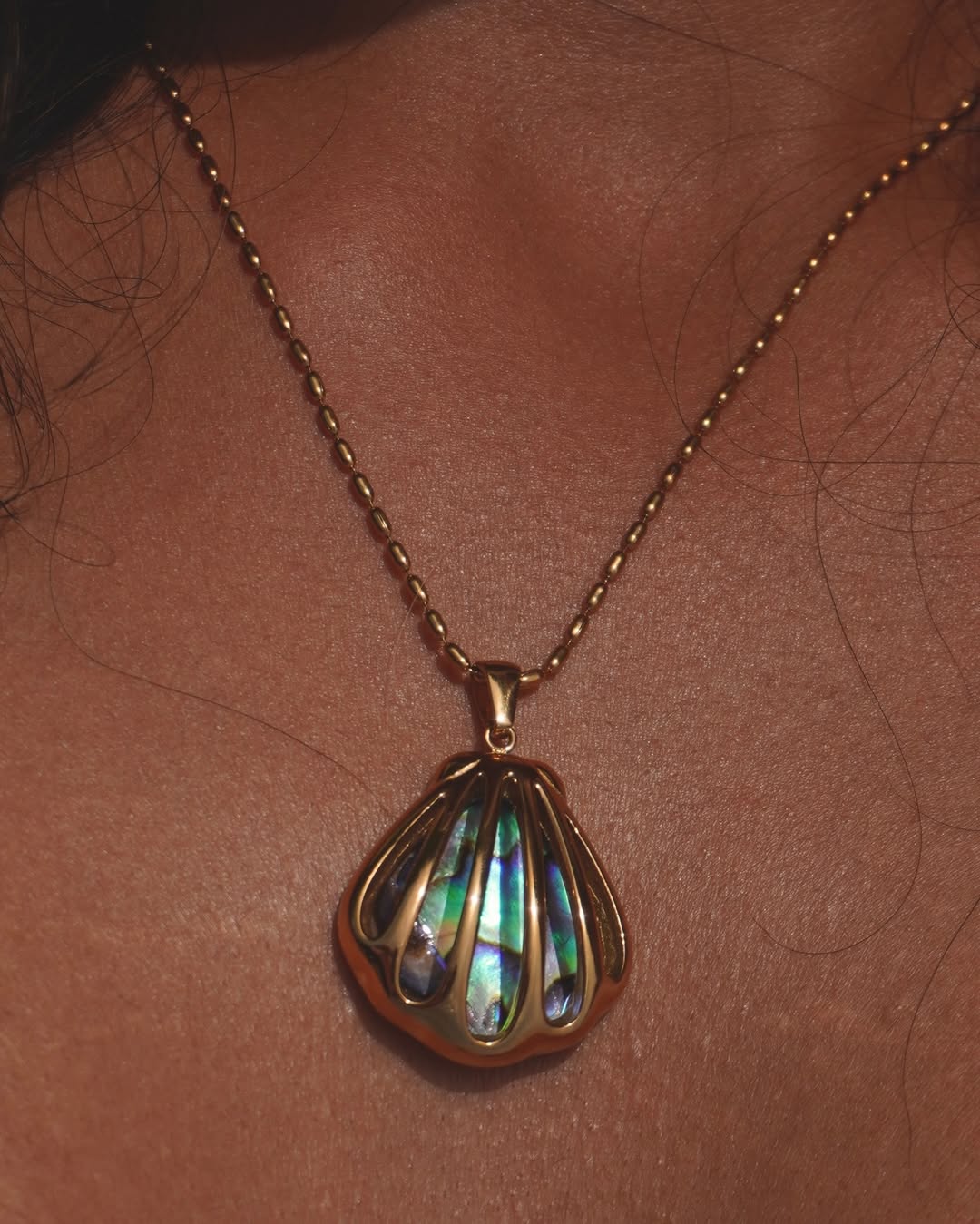 The Gilded Abalone-Chain