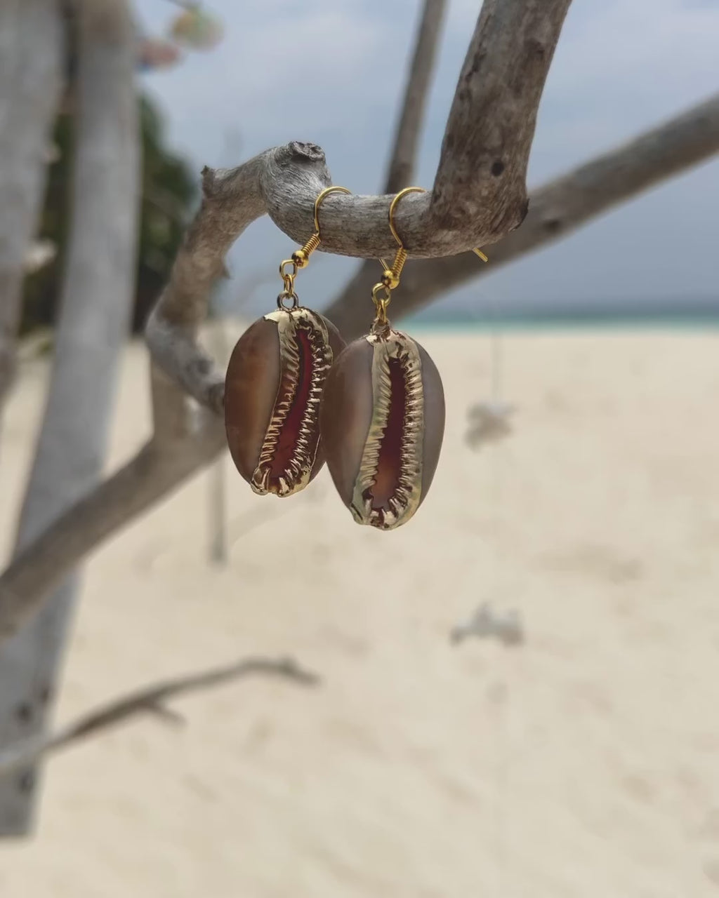 The Cowrie Eclipse