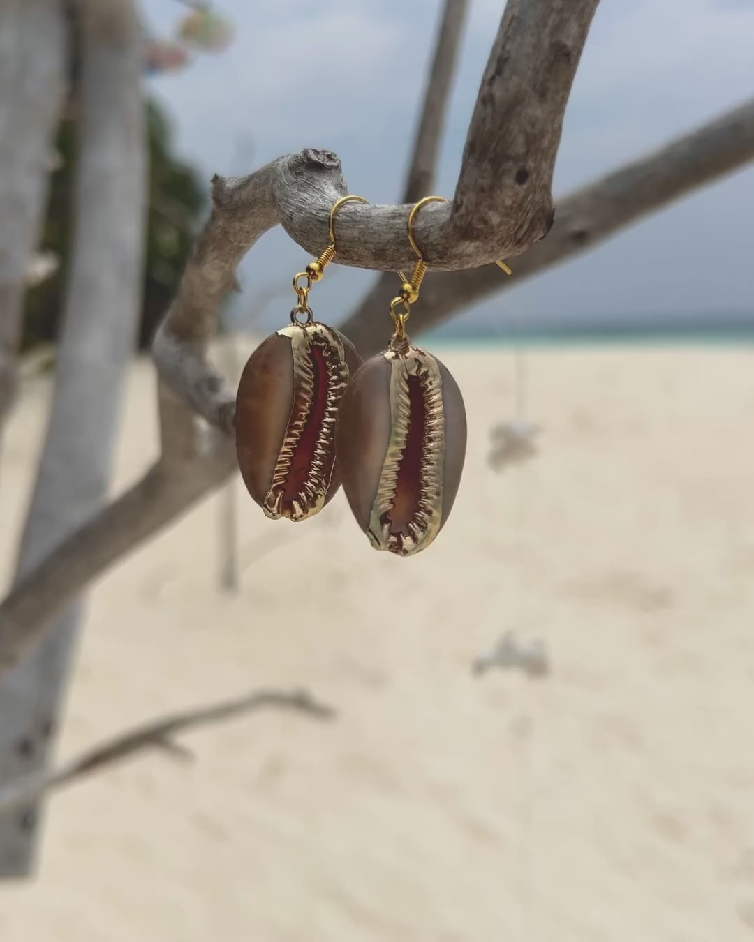 The Cowrie Eclipse