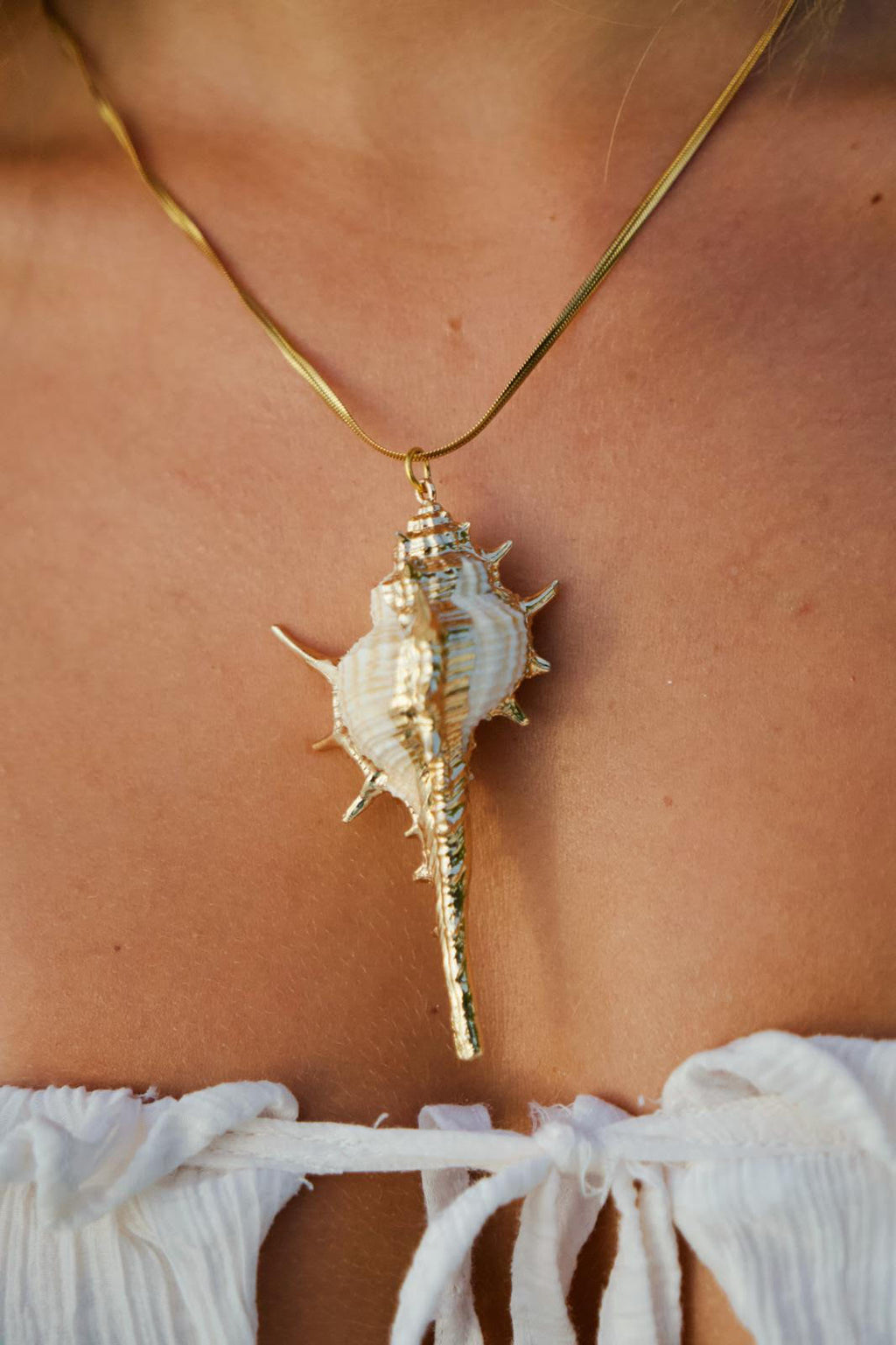 The Striking Conch